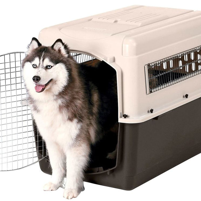 How To Crate Train Your Pet