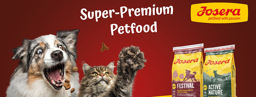 Lebanon Affordable Cat Dog Food Delivery Beirut