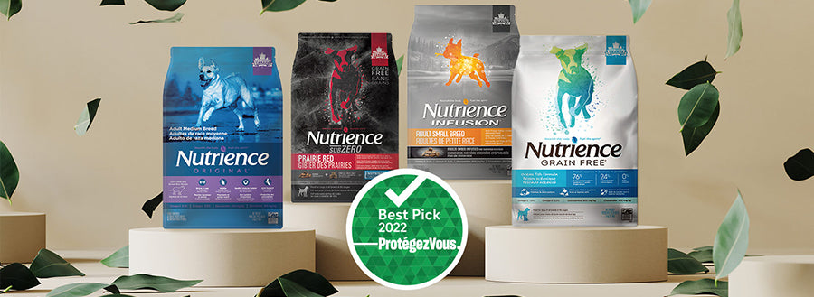 Delivery Lebanon Affordable Cat Dog Food