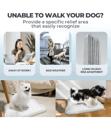 Pawise - Pee Pad Holder Tray for Dogs, Non-Slip, Easy to Clean - Small, Large