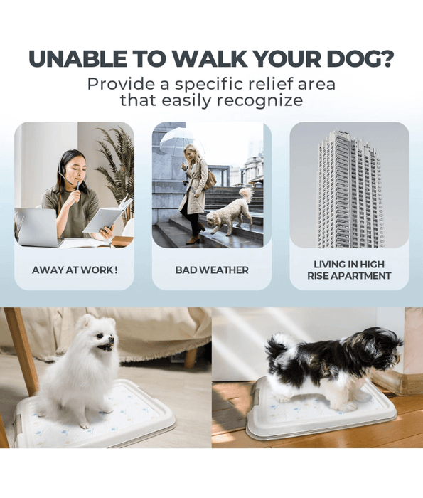Pawise - Pee Pad Holder Tray for Dogs, Non-Slip, Easy to Clean - Small, Large