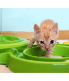 Pawise - Interactive Cat Toy, Double Track Ball Chaser with Spring Teaser for Indoor Play & Exercise - 53 x 30 cm