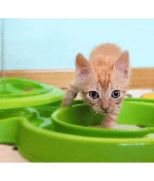 Pawise - Interactive Cat Toy, Double Track Ball Chaser with Spring Teaser for Indoor Play & Exercise - 53 x 30 cm