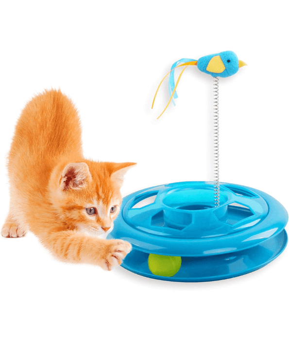 Pawise - Kitty Roundabout