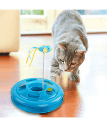 Pawise - Kitty Roundabout