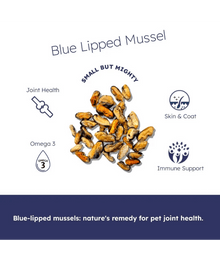 The Pet Bistro – Blue Lipped Mussels, 100g
