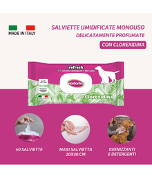 Inodorina - Clorexidina Wipes 40-100-110 sheets