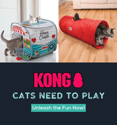 KONG_375_x_400_px_1.png Petriotics