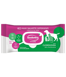 Inodorina - Clorexidina Wipes 40-100-110 sheets