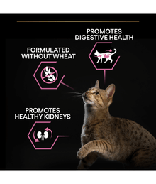 Purina Pro Plan Adult Delicate Digestion, Dry Cat Food with Turkey 1.5kg