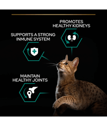 Purina Pro Plan Adult Renal Plus Everyday Dry Cat Food with Chicken 1.5kg