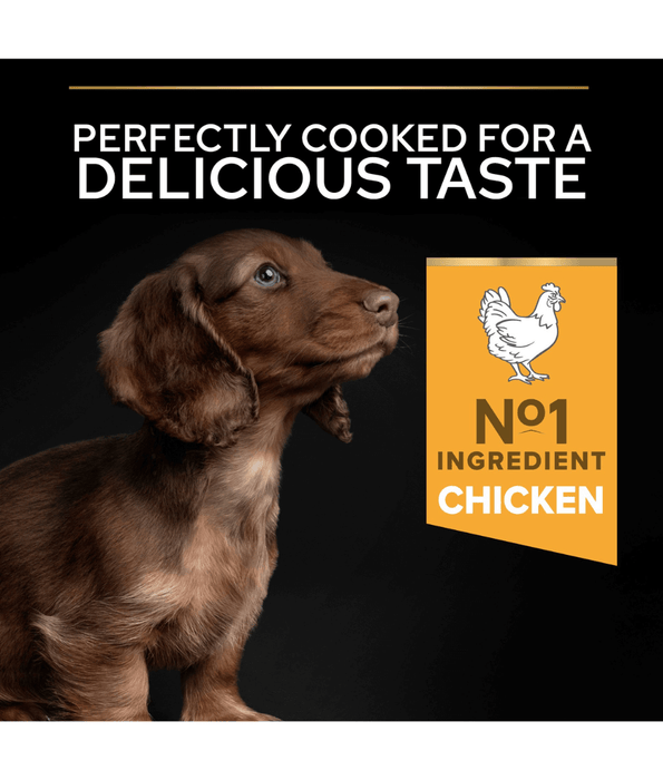 Purina Pro Plan Healthy Start Small and Mini Puppy, Dry Dog food with Chicken 3 kg