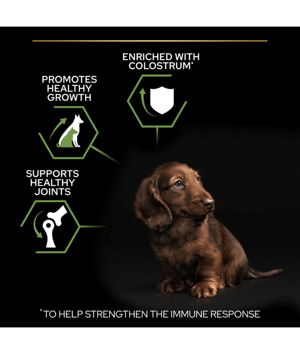 Purina Pro Plan Healthy Start Small and Mini Puppy, Dry Dog food with Chicken 3 kg