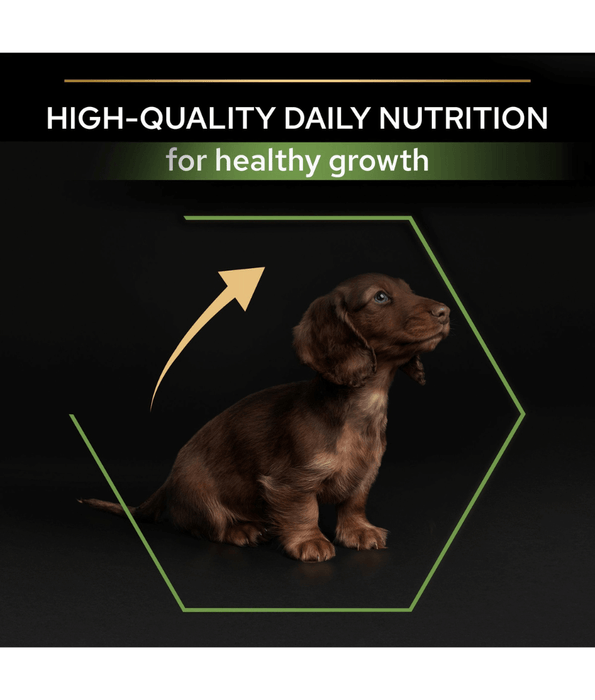 Purina Pro Plan Healthy Start Small and Mini Puppy, Dry Dog food with Chicken 3 kg
