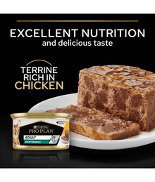 Purina Pro Plan Adult Maintenance, Wet Cat Food, Terrine Rich in Chicken 85g