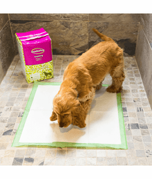 Inodorina - Perfumed Peepads