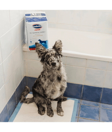 Inodorina - Clorex Hygienic Peepads