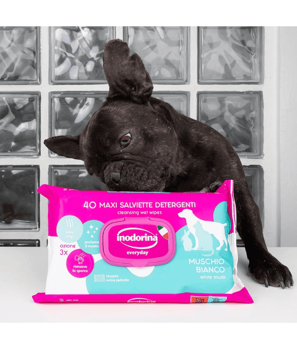 Inodorina - Aloe Vera Wipes 40-110 sheets