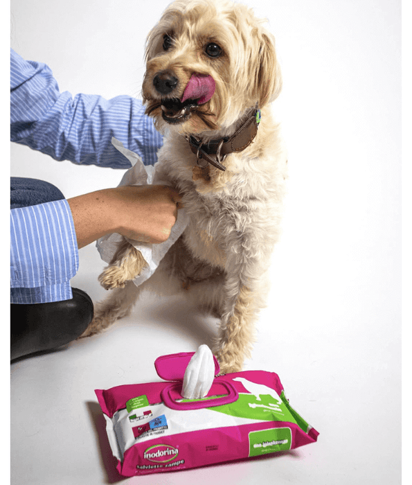 Inodorina - Aloe Vera Wipes 40-110 sheets