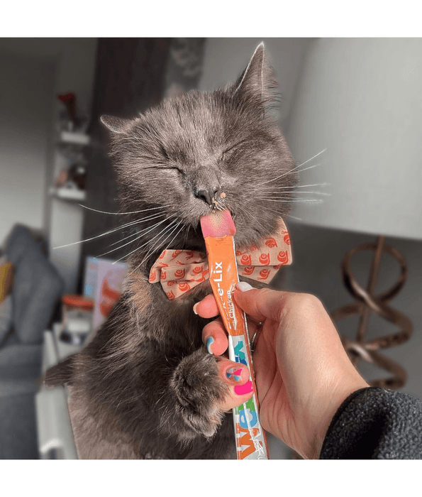 Webbox - Lick-e-Lix Creamy Chicken Cat Treats 5 sachets