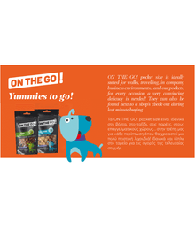 On The Go! Monoprotein Dog Treats – Salmon - High-Protein, Sugar-Free, Perfect for Training & Rewards – 25g