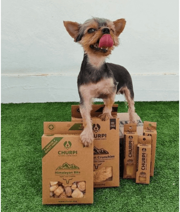 Churpi Bars Natural Dog Snack