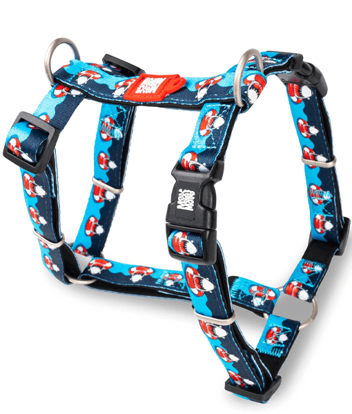 Max & Molly Max & Molly H-Harnesses Frenzy The Shark