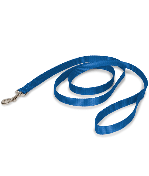 Gimdog Guinz Control Nylon Leash For Dogs Blue