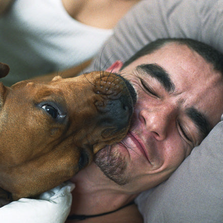 10 Annoying Things Our Pets Do That Drive Us Nuts