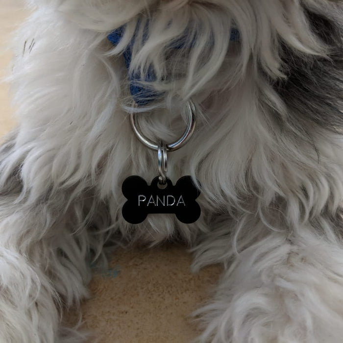 5 Reasons Your Pet Should Wear An ID Tag