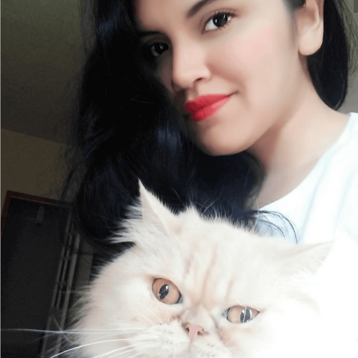 Member Story: What Is It Like To Live With Multiple Pets?