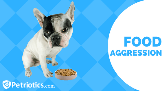How to Avoid Food Aggression in Dogs