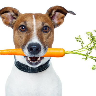 5 Pawlicious Superfoods For You And Your Dog
