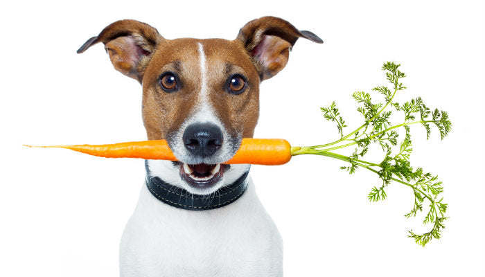 5 Pawlicious Superfoods For You And Your Dog