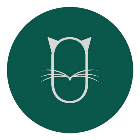 Ohmycat - Meet the Lebanese Company That Makes Cat Furniture!