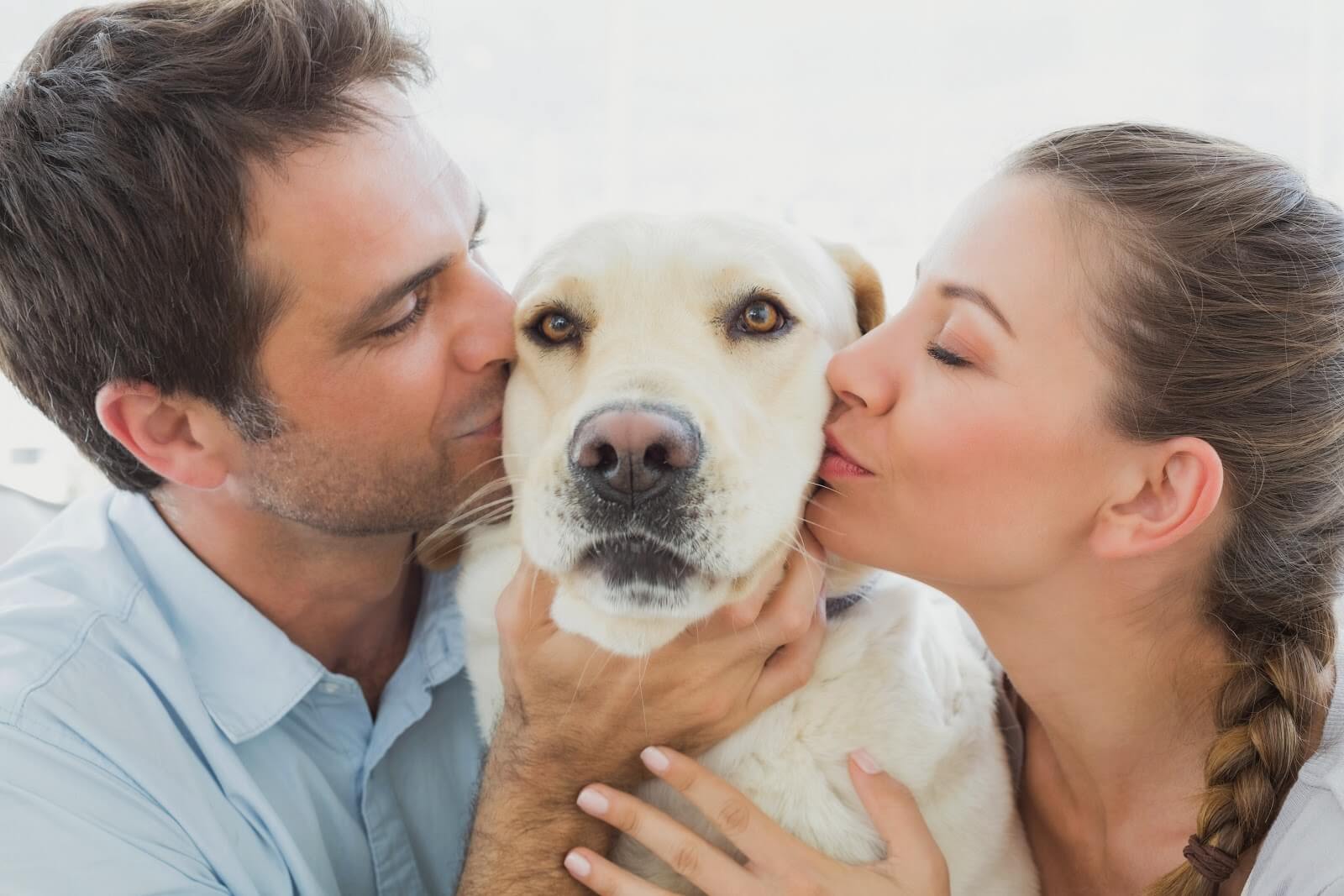7 Things You Should Consider Before Getting A Dog