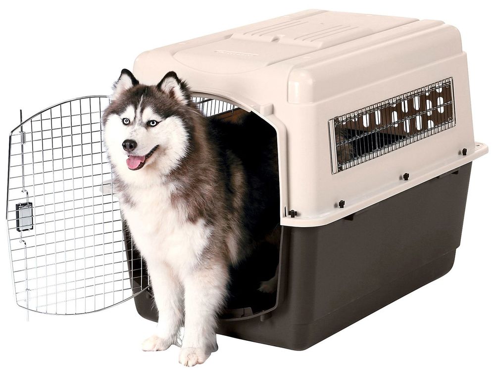 How To Crate Train Your Pet