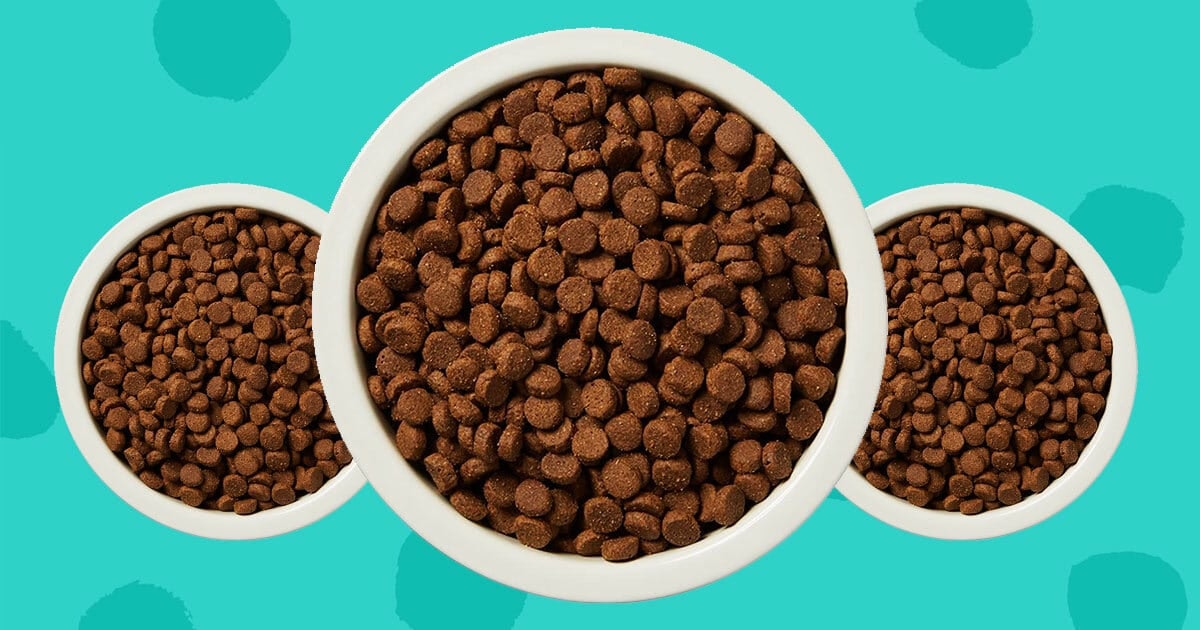 What's the difference between grain-free and non-grainfree pet food?
