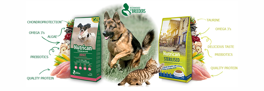 Lebanon Beirut Cat Dog Food Delivery