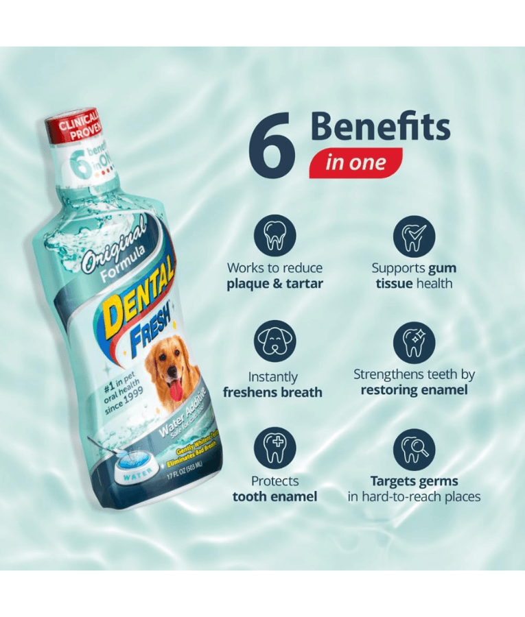 Synergy Labs - Dental Fresh, Water Additive, Original Formula for Dogs & Cats - Whitening, Breath Freshening, Oral Health Support - 503mL