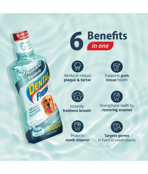 Synergy Labs - Dental Fresh, Water Additive, Original Formula for Dogs & Cats - Whitening, Breath Freshening, Oral Health Support - 503mL