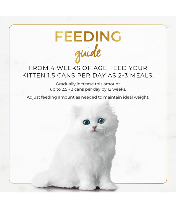 Purina - Fancy Feast, Kitten Wet Cat Food, Classic Paté With Grilled Chicken - 5+1 Free Cans x 85g