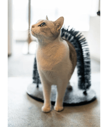 Pawise Grooming Scratcher Arch – Self-Grooming & Massage Station for Cats 36 x 28 x 36 cm