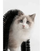 Pawise Grooming Scratcher Arch – Self-Grooming & Massage Station for Cats 36 x 28 x 36 cm