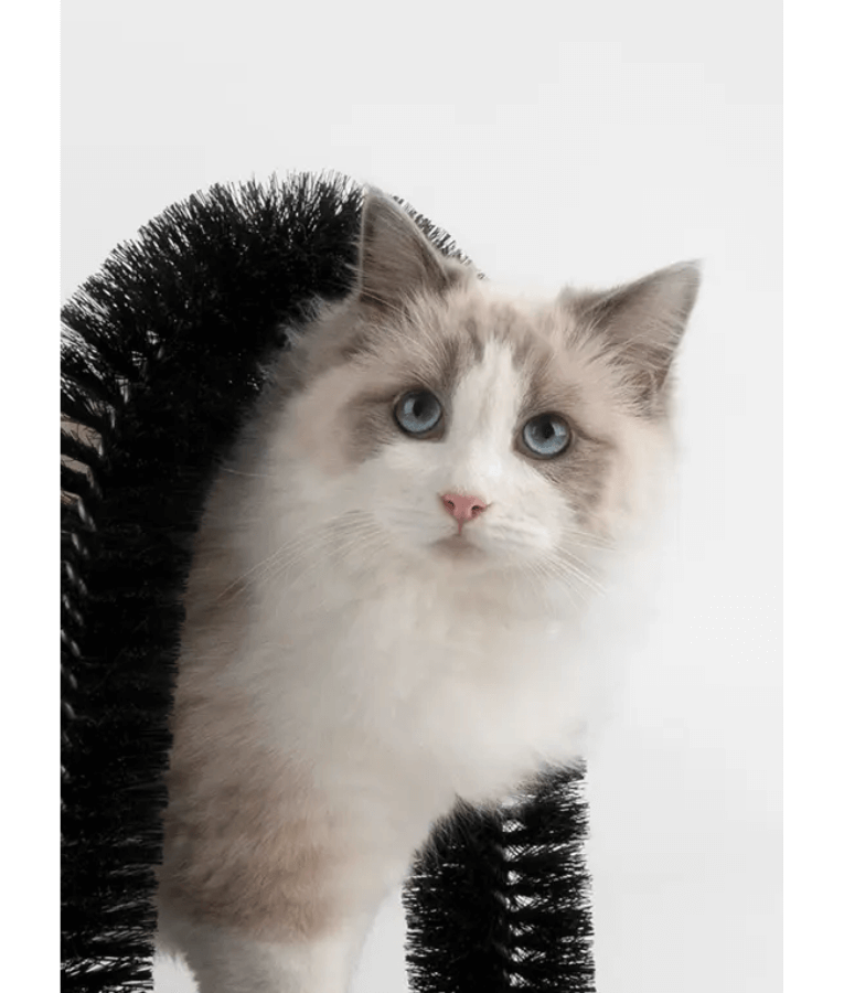 Pawise Grooming Scratcher Arch – Self-Grooming & Massage Station for Cats 36 x 28 x 36 cm