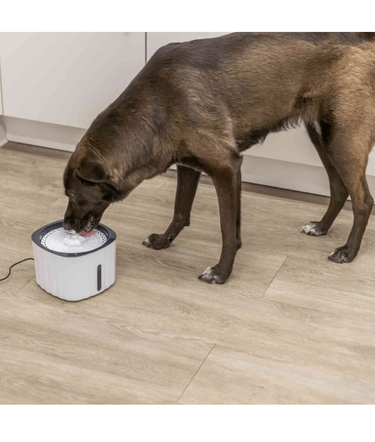 Trixie - Drinking Fountain Flower for Dogs & Cats, 2 L Circulating Water Fountain - 18.5 × 13 × 18.5 cm