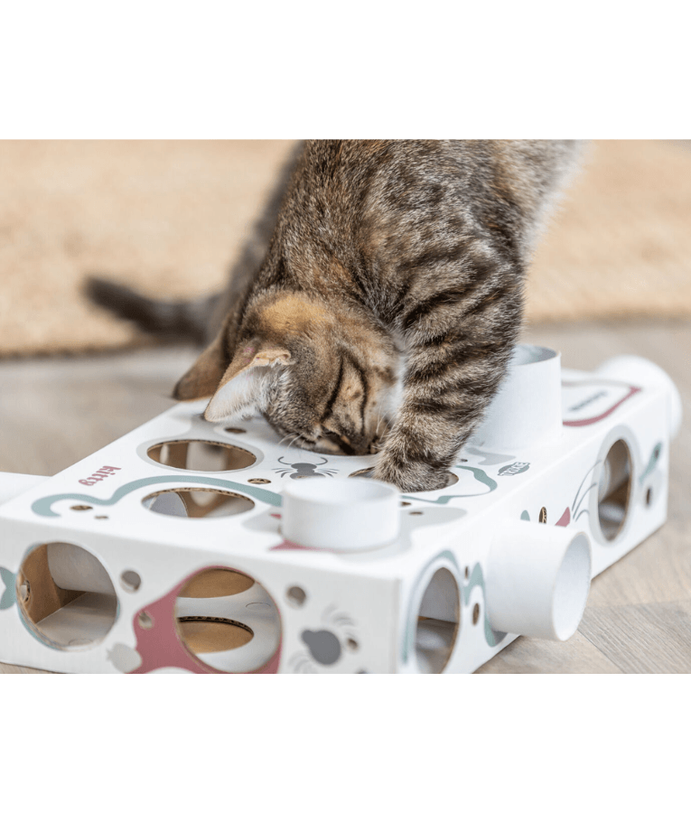 Trixie - Paws’n’Treats Box, Interactive Cat Puzzle Toy with Push-In Tubes - 35 × 7 × 20 cm