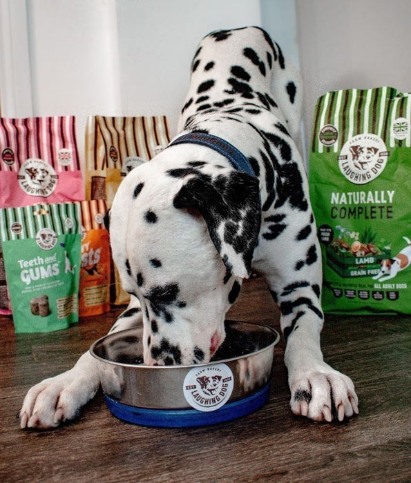 Laughing Dog - Naturally Complete Lamb, Grain-Free, Adult Dry Dog Food For All Breed Sizes - 2kg, 10kg