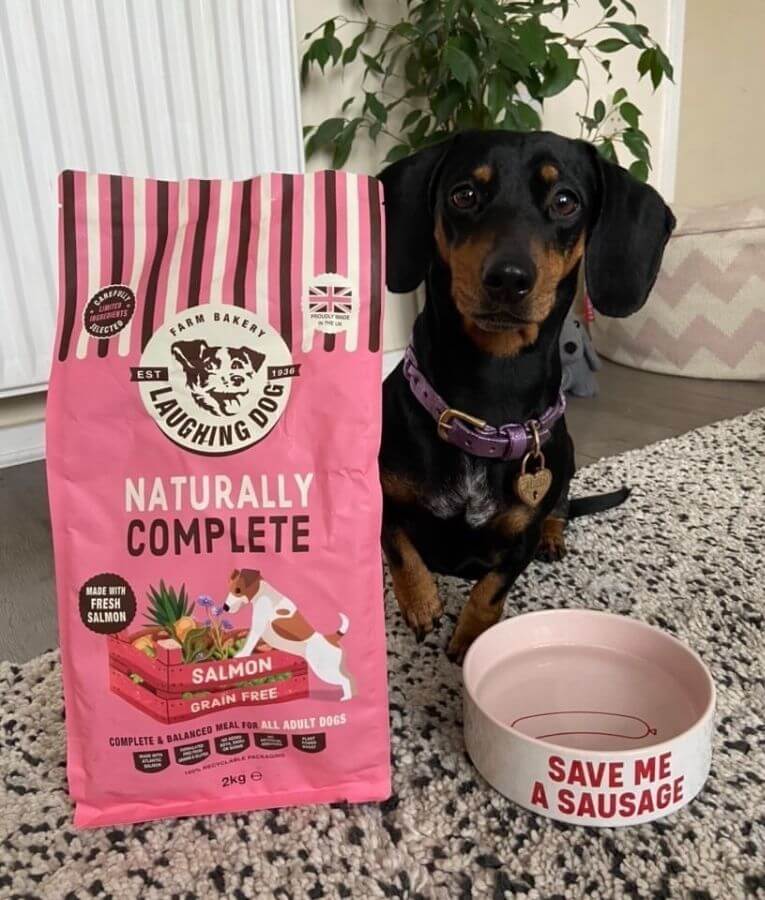 Laughing Dog - Naturally Complete Salmon, Grain-Free, Adult Dry Dog Food For All Breed Sizes - 2kg, 10kg