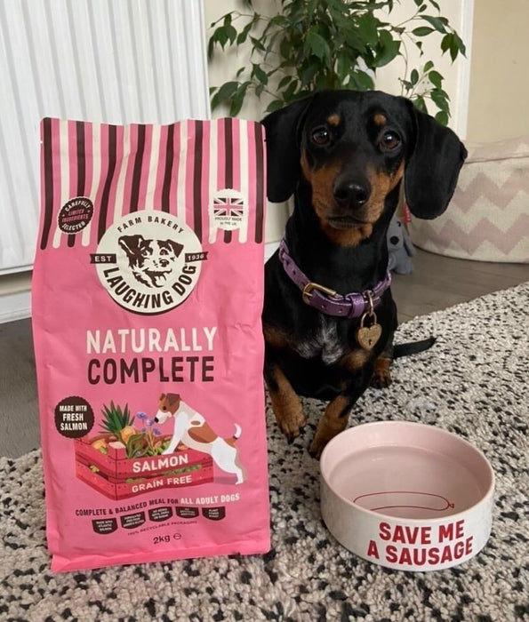 Laughing Dog - Naturally Complete Salmon, Grain-Free, Adult Dry Dog Food For All Breed Sizes - 2kg, 10kg